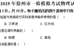 2025年江苏省徐州市沛县第五中学中考模拟物理试题（含解析）