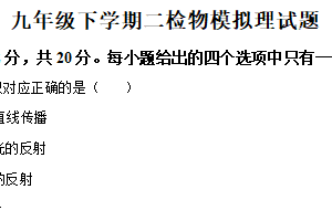 2025年江苏省徐州市沛县五中联盟学区中考二模物理试题（含解析）