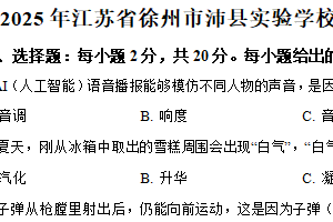 2025年江苏省徐州市沛县实验学校联盟学区中考物理模拟试卷（含解析）