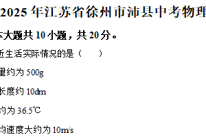 2025年江苏省徐州市沛县中考二模物理试题（含解析）