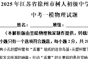 2025年江苏省徐州市树人初级中学中考一模物理试题（含解析）