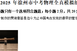 2025年江苏省徐州市中考模拟物理试题（含解析）