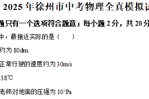 2025年江苏省徐州市中考全真模拟物理试题（含解析）