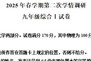2025年江苏省盐城市大丰区中考二模物理试题（含解析）