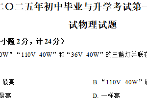 2025年江苏省盐城市大丰区中考一模物理试题（含解析）