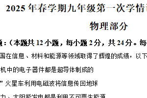 2025年江苏省盐城市阜宁县中考一模物理试题（含解析）