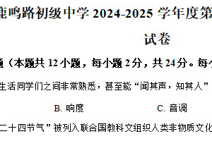 2025年江苏省盐城市鹿鸣路初级中学中考二模物理试题（含解析）