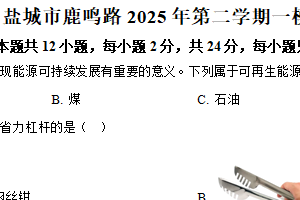 2025年江苏省盐城市鹿鸣路初级中学中考一模物理试题（含解析）