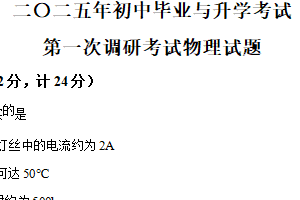 2025年江苏省盐城市射阳县中考一模物理试题（含解析）