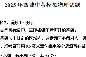 2025年江苏省盐城市亭湖区中考三模物理试题（含解析）