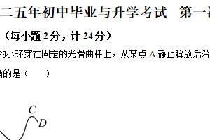 2025年江苏省盐城市盐都区中考一模物理试题1（含解析）