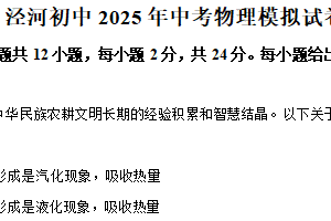 2025年江苏省扬州市宝应县泾河镇中心初级中学中考物理模拟试卷（四）（含解析）