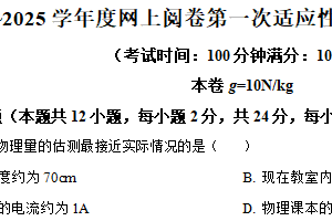 2025年江苏省扬州市高邮市中考一模物理试题（含解析）