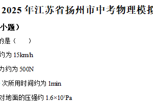 2025年江苏省扬州市中考一模物理试题（含解析）