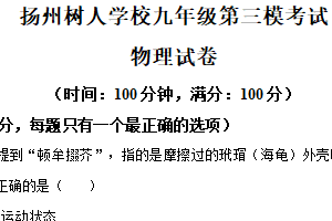 2025年江苏省扬州树人学校中考三模物理试题（含解析）