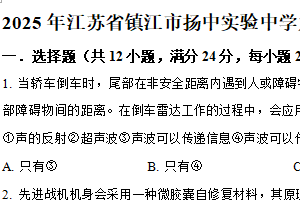2025年江苏省镇江市扬中实验中学中考一模物理试题（含解析）
