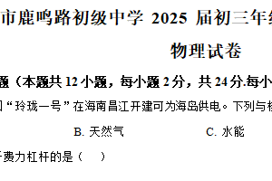 2025年江苏盐城鹿鸣路初级中学中考第三次模拟物理试题（含解析）