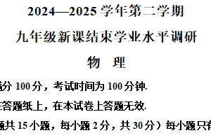 江苏省常州市2024-2025学年九年级下学期结课考试物理试题（含解析）