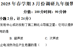 江苏省淮安市洪泽区部分学校2024-2025学年九年级下学期3月月考物理试题（含解析）
