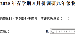 江苏省淮安市金湖县部分学校2024-2025学年九年级下学期3月月考物理试题（含解析）