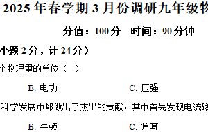 江苏省淮安市金湖县联考2024-2025学年九年级下学期3月月考物理试题（含解析）