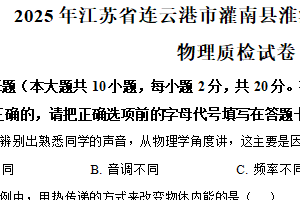 江苏省连云港市灌南县淮河路实验学校2024-2025学年九年级下学期阶段性学业质量检测物理试题（含解析）