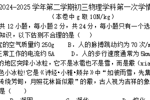 江苏省南京东山外国语学校2024-2025学年九年级下学期月考物理试卷（含答案）
