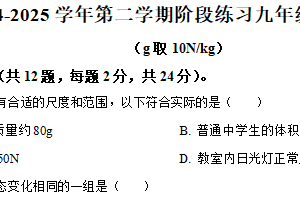 江苏省南京市第二十九中学2024-2025学年九年级下学期3月阶段练习物理试题（含解析）
