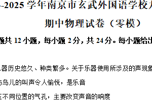 江苏省南京市玄武外国语学校2024-2025学年九年级下学期期中物理试题（含解析）