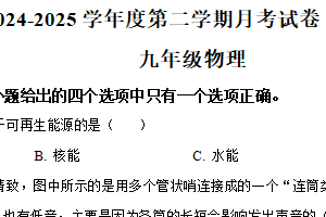 江苏省南通市海门区多校联考2024-2025学年九年级下学期3月月考物理试题（含解析）