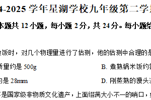 江苏省苏州工业园区星湖学校2024-2025学年九年级第二学期第一次随堂练习物理卷（含解析）