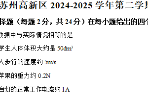 江苏省苏州市高新区2024-2025学年九年级下学期3月月考物理试题（含解析）