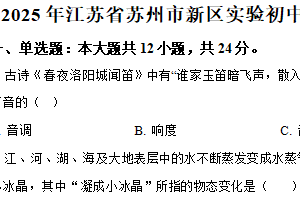 江苏省苏州市高新区实验初级中学2024－2025学年九年级下学期3月月考物理试题（含解析）