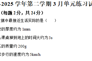 江苏省苏州市工业园区东沙湖学校2024-2025学年九年级下学期期中考试物理试题（含解析）