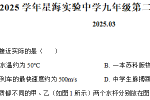 江苏省苏州市工业园区星海实验中学2024-2025学年九年级下学期第一次月考物理试题（含解析）