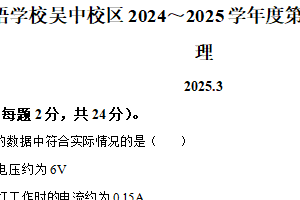 江苏省苏州市外国语学校吴中校区2024-2025学年九年级下学期3月月考物理试卷（含解析）