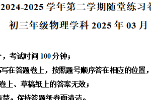 江苏省苏州园区西安交通大学苏州附中2024-2025学年九年级下学期3月月考物理试题（含解析）
