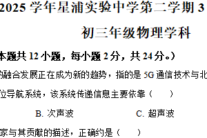 江苏省苏州园区星浦实验中学2024-2025学年九年级下学期3月月考物理试题（含解析）