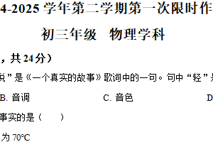 江苏省苏州园区星洋学校2024-2025学年九年级下学期3月月考物理试题（含解析）