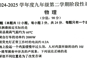 江苏省宿迁市沭阳县乡镇联考2024-2025学年九年级下学期3月月考物理试题（含答案）