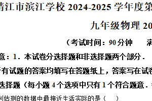 江苏省泰州市靖江市滨江学校2024-2025学年九年级下学期3月月考物理试题（含解析）