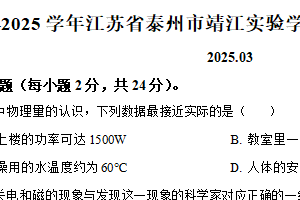 江苏省泰州市靖江市实验学校2024-2025学年九年级下学期3月考物理试卷（含解析）