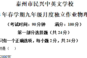 江苏省泰州市民兴中英文学校2024～2025学年度九年级下学期第一次月度检测物理试卷（含解析）