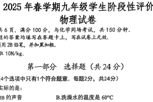 江苏省泰州市兴化市2024-2025学年九年级下学期3月月考物理试题（含答案）