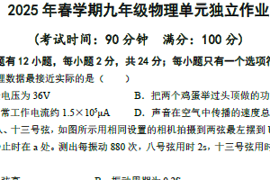 江苏省泰州中学附属初级中学2024-2025学年九年级下学期第一次月考物理试卷（含答案）