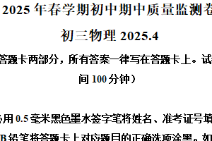 江苏省无锡市滨湖区2024-2025学年九年级下学期期中质量检测物理试题（含解析）