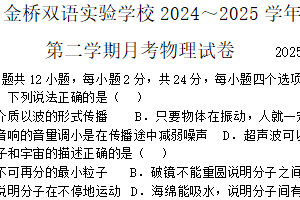 江苏省无锡市金桥双语实验学校2024-2025学年九年级下学期3月月考物理试题（含答案）