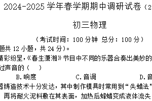 江苏省无锡市锡山区2024-2025学年九年级下学期期中考试物理试卷（含答案）