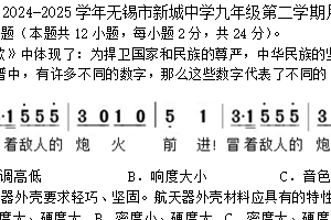 江苏省无锡市新城中学2024-2025学年九年级下学期3月月考物理试卷（含答案）