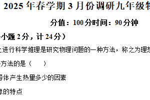 江苏省盐城市大丰区联考2024-2025学年九年级下学期3月月考物理试题（含解析）